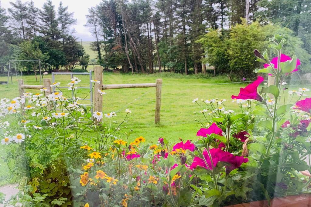 Glen Keen Farm Cottage Louisburgh Exteriör bild